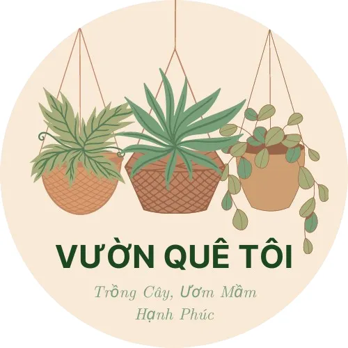 Vườn Quê Tôi