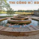 Thi Công Hồ Koi: Không Gian Sống Nghệ Thuật Và Đẳng Cấp