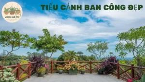 Tiểu Cảnh Ban Công Đẹp - Tạo Không Gian Xanh Tại Nhà